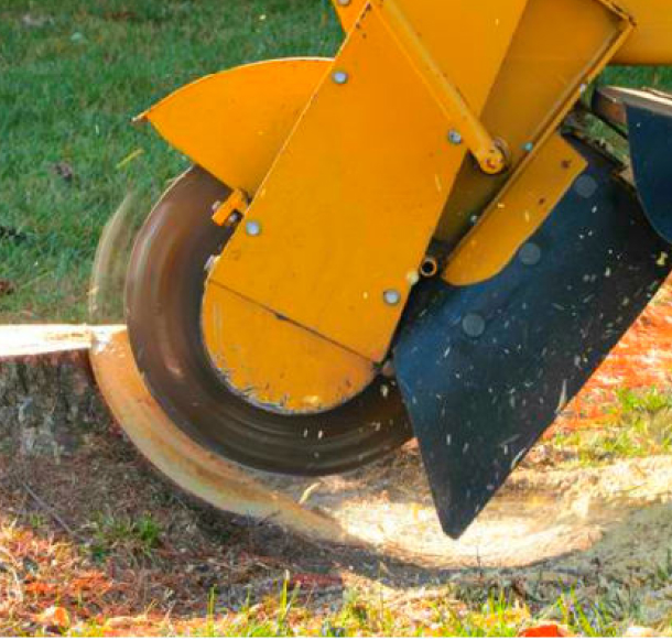 Wood Grinding Image